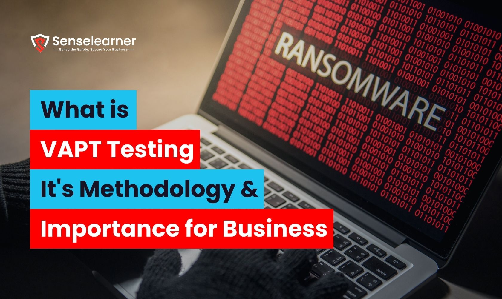 "What is VAPT Testing, It's Methodology & Importance for Business" is displayed on the laptop screen along with Senselearner logo and "RANSOMWARE" in red binary code.