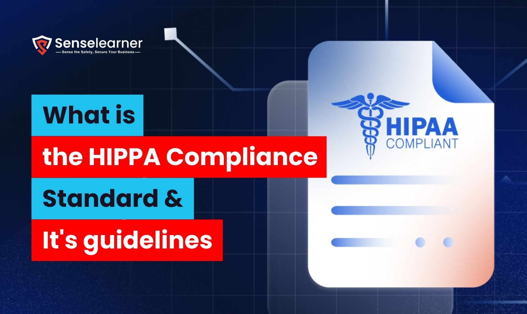 Senselearner cybersecurity awareness: What is the HIPAA Compliance Standard and its guidelines?