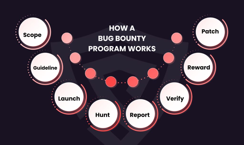 Image describing "How a Bug Bounty Program Works"?