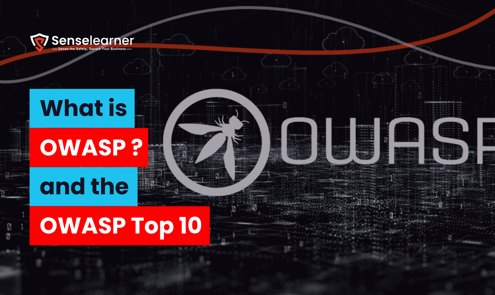 The OWASP logo with the phrase "Understanding OWASP and the OWASP Top 10" comes from Senselearner, a thorough cybersecurity tutorial.